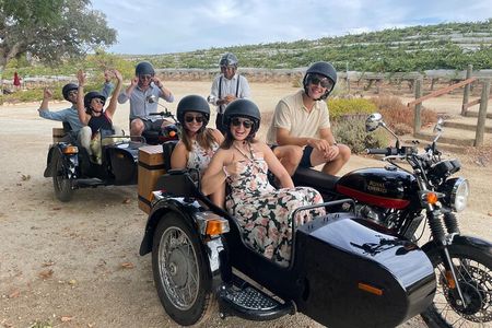 Scenic Sidecar Vineyard Tour Paso Robles