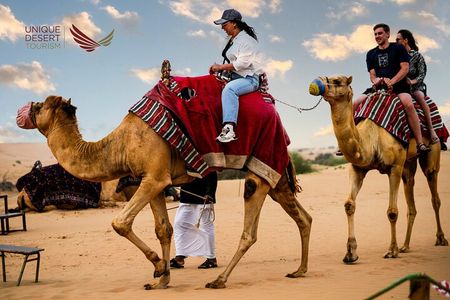 Morning Desert Safari: Dune Bashing, Camel Riding & Sandboarding
