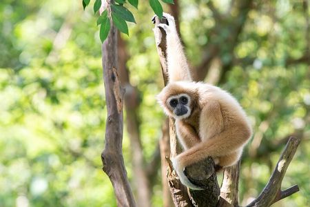 Conservation and Cultural Journey 2-Days Tour