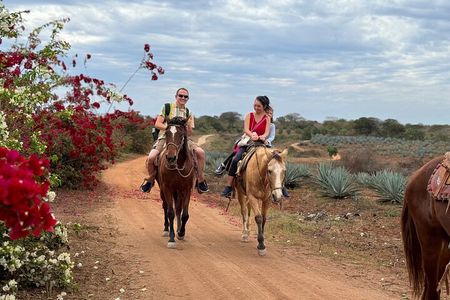 ATV and Horseback riding Combo Tour from Mazatlán 