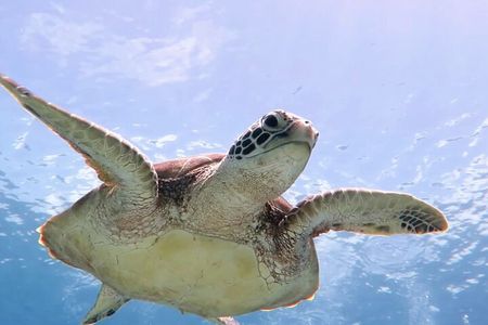 Cas Cay - Kayak Hike and Snorkel Adventure