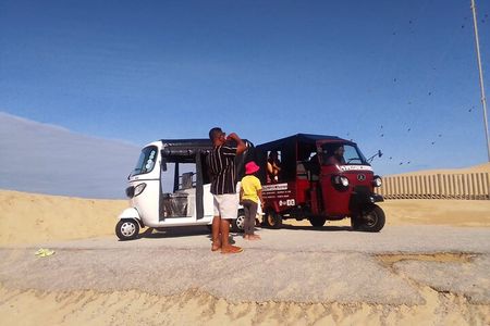 Gqeberha Tuk Tuk Tour to St Peters and SANCCOB