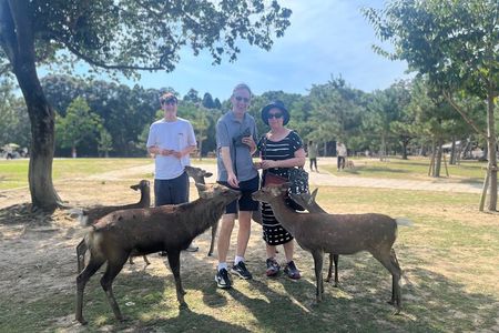 Nara Half Day Tour Discover Ancient Temples and Friendly Deer