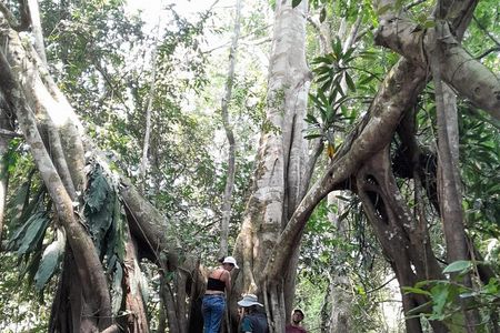 3/Days 2 Nights Amazon Rainforest Wildlife 270 usd