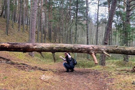 Bushwalking/Hiking adventure from Riga 