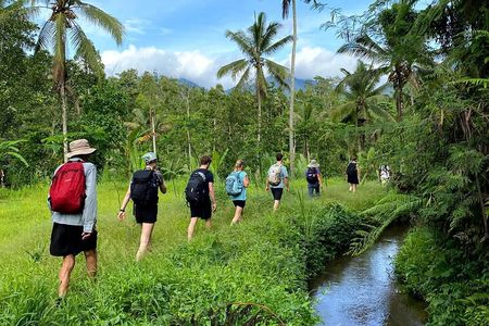 Tree to Sea: A 6-Day Bali Heritage Trail