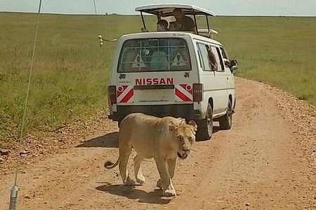 3 Days Maasai Mara Safari