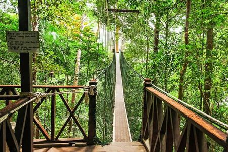 Taman Negara Tour