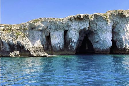 Boat tour with dolphin sighting