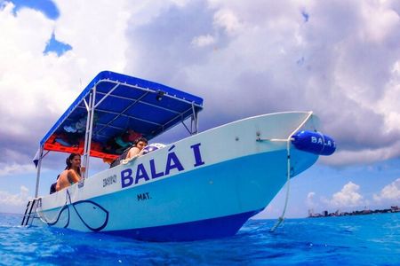 Cozumel 4-Hour Private Trip to Heaven