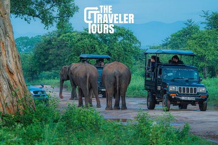 Safari Jeep Tour In Udawalawa Park Sri Lanka 