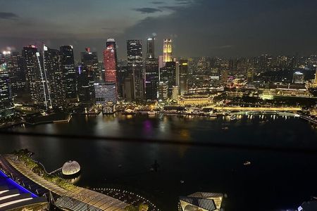 Marina Bay Sand Observatory and Singapore Skyline History Tour