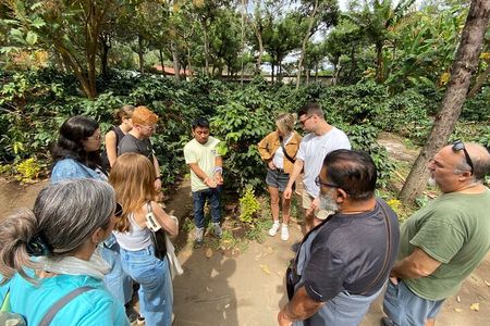 Antigua ATV Coffee Tour 