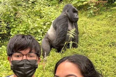 Rwanda One Day Gorilla Trekking with Iby’iwacu Culture Visit