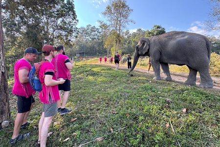 Chiang Mai Elephant Watch and Wang River Rafting