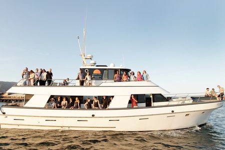 Whale and Wildlife Yacht Cruise in Santa Barbara