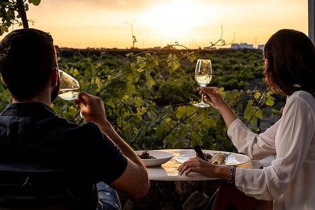 Exclusive Santorini Private Wine Tasting & Greek Lunch Experience