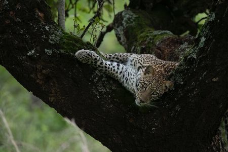 2 Days 1 Night Akagera Wildlife Safari and Kigali City Tour