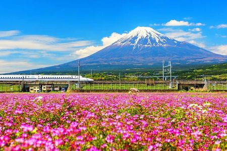 Mt. Fuji to Lake Kawaguchi, Lake Yamanaka and Onsen Day Tour