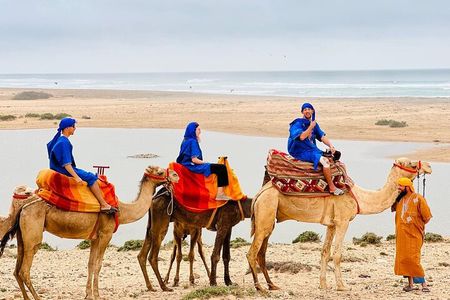 Camel Tour : 2 hours camel ride in Agadir