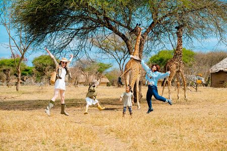 The Great 5-Days Safari Journey