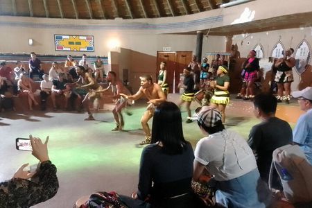Cradle of Humankind, Lesedi Cultural Village & Lion's Park