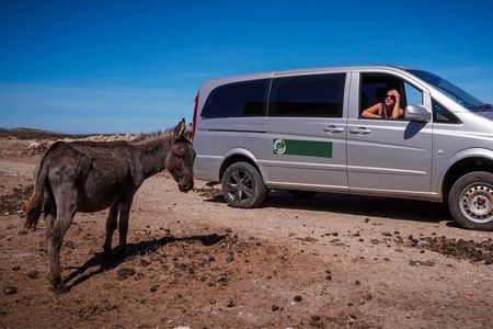 From Stintino: minivan tour of Asinara
