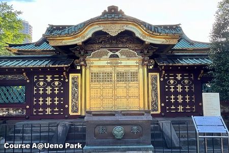 Private tour in Tokyo (Ueno, downtown...) with a Local Guide