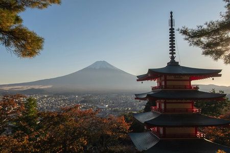 Mt.Fuji Private Day Trip from Tokyo with Driver & Top Photo Spots