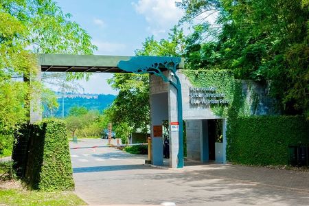 Kigali city Tour explore the heart of Rwanda