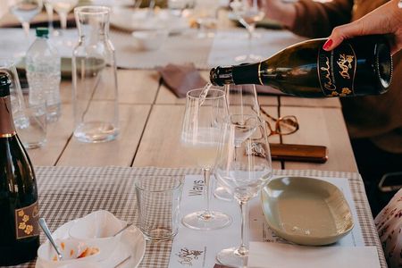 From Venice: Prosecco Wine Region Tour with 2 Tastings