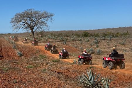 ATV & Temazcal combo with lunch and Mezcal tour