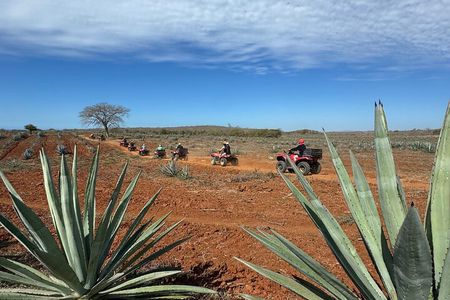 ATV & Temazcal combo with lunch and Mezcal tour
