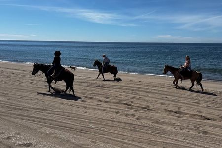 Horseback riding & Temazcal combo with lunch and mezcal tour