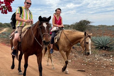 Horseback riding & Temazcal combo with lunch and mezcal tour
