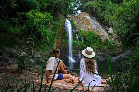 Daintree Sensations 