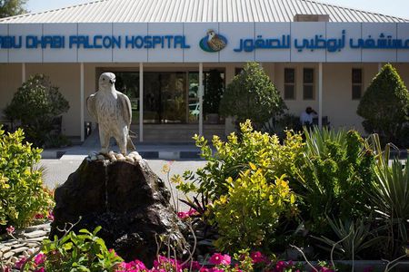 Wings of Heritage Abu Dhabi Falcon Hospital Tour