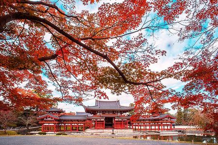 Kyoto Uji Matcha Experience & Nara Private 1-Day Tour