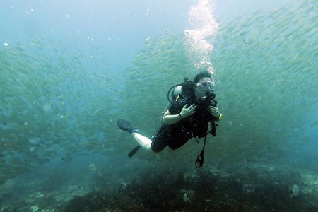 Best Scuba Diving Koh Tao Top Sites from Koh Samui