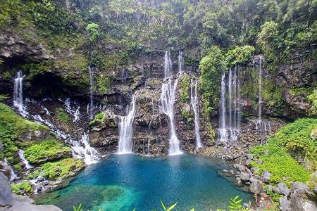 Discover the Wild South with Private Driver