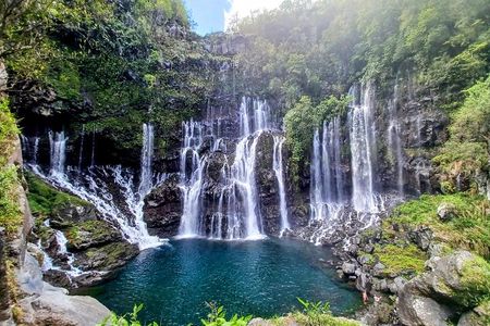 Discover the Wild South with Private Driver