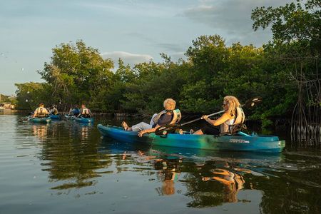 Sunset Kayak Tour in the Mangrove Lagoon, St Thomas
