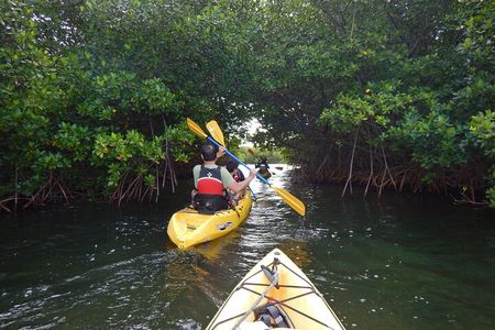 Sunset Kayak Tour in the Mangrove Lagoon, St Thomas