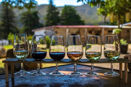 Waipara Wine Trail Group Tour From Christchurch