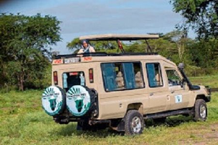 The World's Best 1 Day Tarangire Budget Group Safari From Arusha