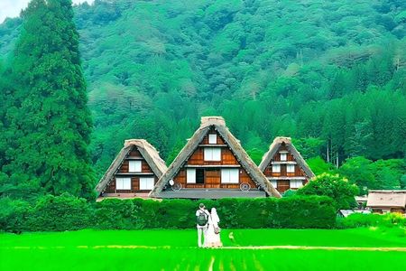 Shiroyama Shirakawa-go Day Trip from Nagoya