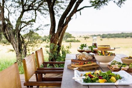 The Ultimate Guide for 2-Day Tanzania Safari from Mwanza 