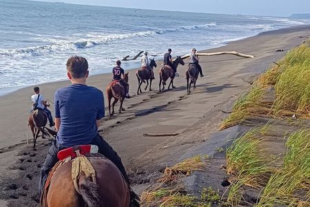 Horseback Riding in Tarcoles Garabito, a Life Experience.