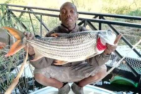 Victoria Falls 3 hours Tiger Fishing in Zambezi River 