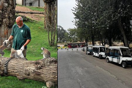 Rome: Entrance ticket Zoo + Golf Cart tour of Villa Borghese